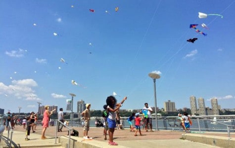 kids fly kites at the waterfront of a park