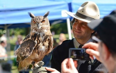 a park ranger holds up an owl for a visitor to take a photo
